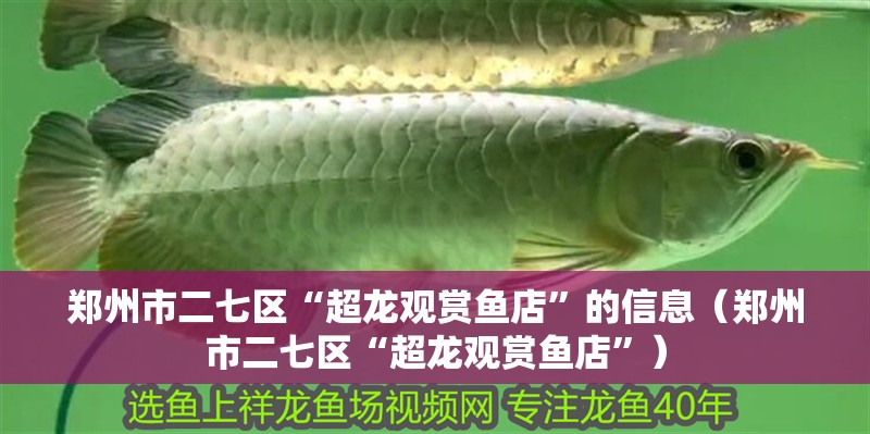 鄭州市二七區“超龍觀賞魚店”的信息（鄭州市二七區“超龍觀賞魚店”）