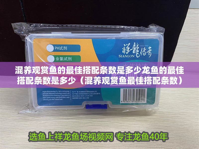 混養(yǎng)觀賞魚的最佳搭配條數(shù)是多少龍魚的最佳搭配條數(shù)是多少（混養(yǎng)觀賞魚最佳搭配條數(shù)） 混養(yǎng)觀賞魚的最佳搭配條數(shù)是多少龍魚的最佳搭配條數(shù)是多少（混養(yǎng)觀賞魚最佳搭配條數(shù)） 觀賞魚百科 第3張