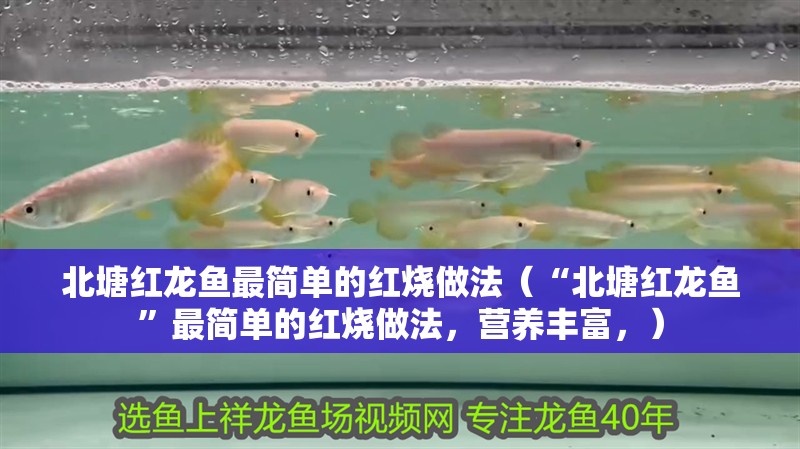 北塘紅龍魚最簡單的紅燒做法（“北塘紅龍魚”最簡單的紅燒做法，營養豐富，）