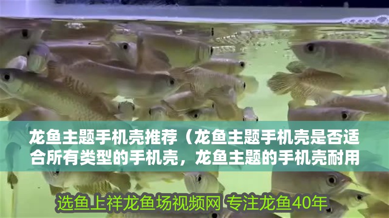 龍魚主題手機殼推薦（龍魚主題手機殼是否適合所有類型的手機殼，龍魚主題的手機殼耐用嗎）