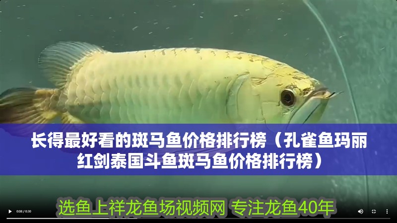 長(zhǎng)得最好看的斑馬魚(yú)價(jià)格排行榜（孔雀魚(yú)瑪麗紅劍泰國(guó)斗魚(yú)斑馬魚(yú)價(jià)格排行榜）
