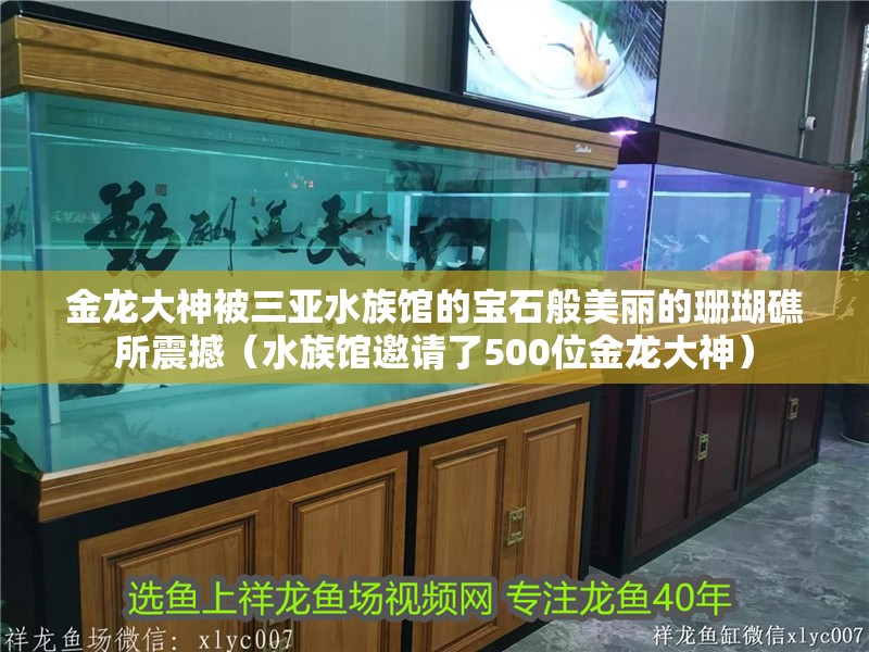 金龍大神被三亞水族館的寶石般美麗的珊瑚礁所震撼（水族館邀請了500位金龍大神）