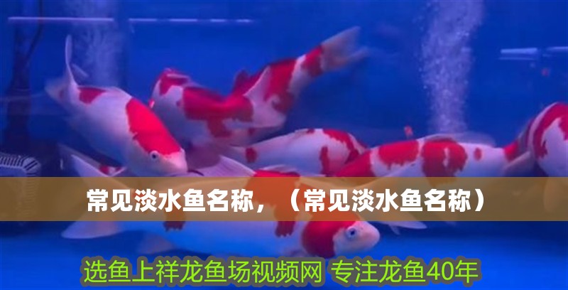 常見淡水魚名稱，（常見淡水魚名稱）