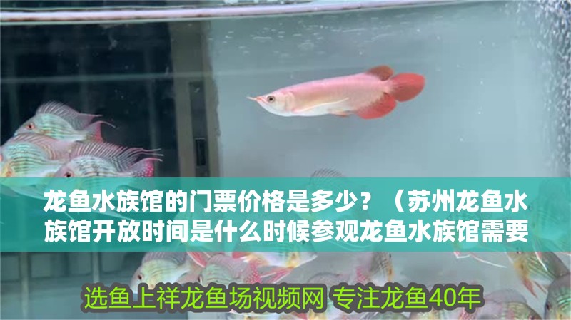 龍魚水族館的門票價(jià)格是多少？（蘇州龍魚水族館開放時(shí)間是什么時(shí)候參觀龍魚水族館需要提前預(yù)約嗎）