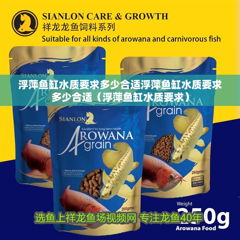 浮萍魚缸水質要求多少合適浮萍魚缸水質要求多少合適（浮萍魚缸水質要求）