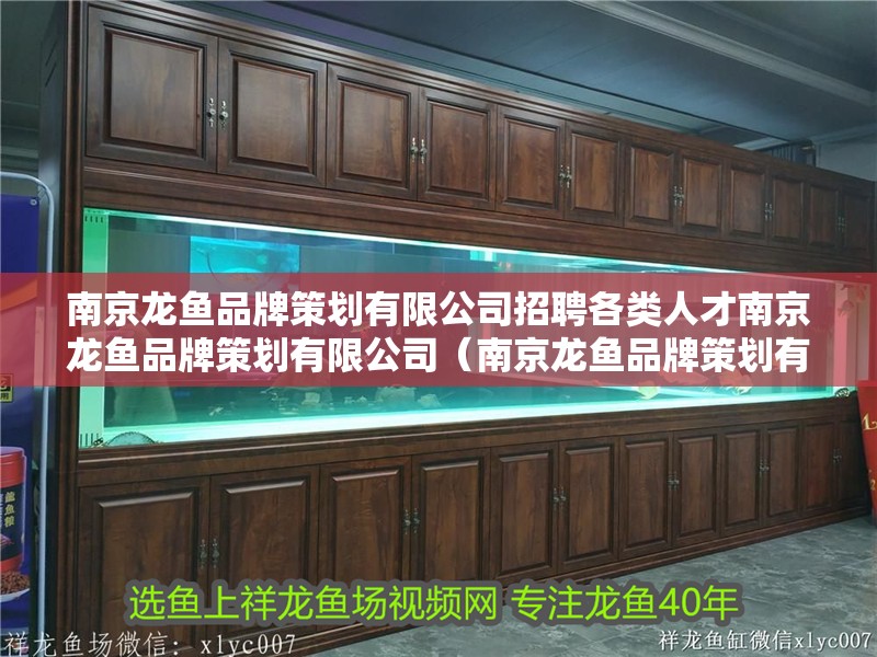 南京龍魚品牌策劃有限公司招聘各類人才南京龍魚品牌策劃有限公司（南京龍魚品牌策劃有限公司） 南京龍魚品牌策劃有限公司招聘各類人才南京龍魚品牌策劃有限公司（南京龍魚品牌策劃有限公司） 觀賞魚百科 第2張