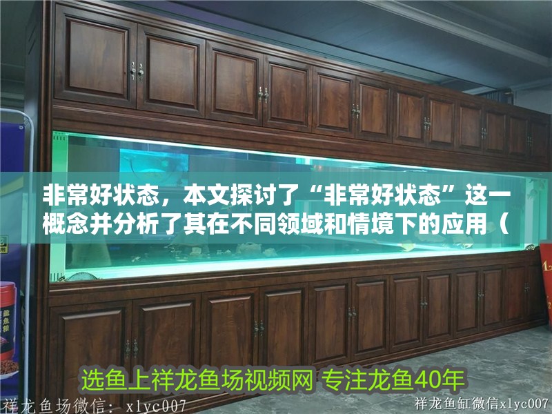 非常好狀態(tài)，本文探討了“非常好狀態(tài)”這一概念并分析了其在不同領(lǐng)域和情境下的應(yīng)用（非常好狀態(tài)是什么意思）