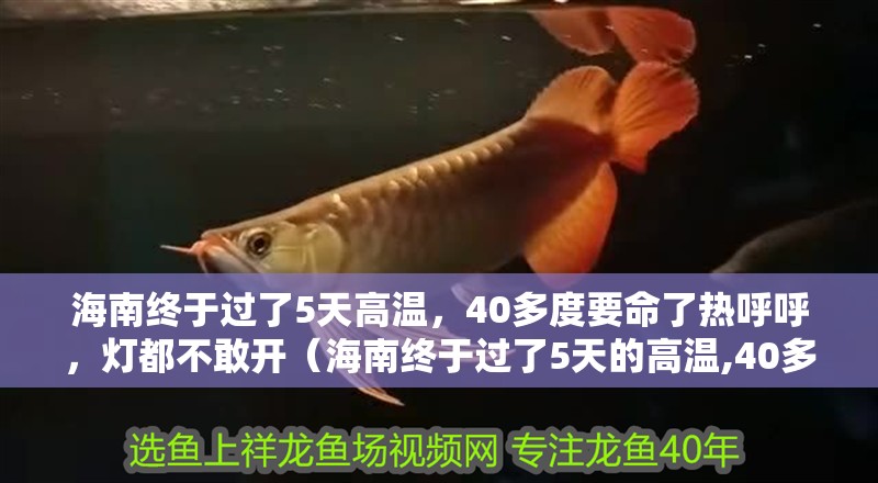 <strong><mark>海南</mark></strong>終于過了5天高溫，40多度要命了熱呼呼，燈都不敢開（<strong><mark>海南</mark></strong>終于過了5天的高溫,40多度真的要命了）