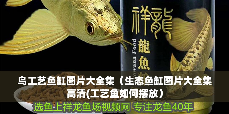 鳥工藝魚缸圖片大全集（生態(tài)魚缸圖片大全集高清(工藝魚如何擺放）