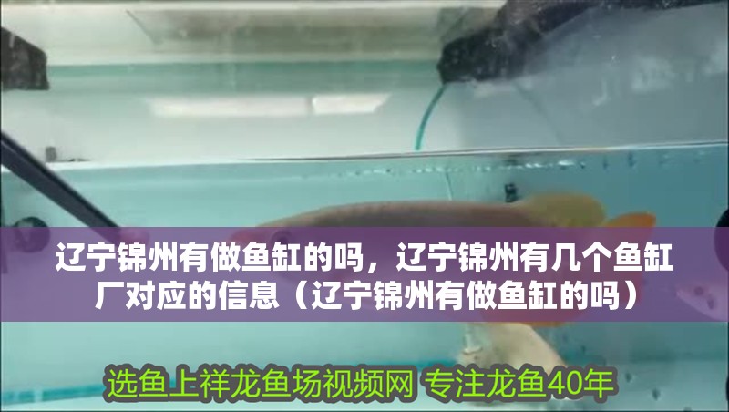 遼寧錦州有做魚缸的嗎，遼寧錦州有幾個魚缸廠對應的信息（遼寧錦州有做魚缸的嗎）