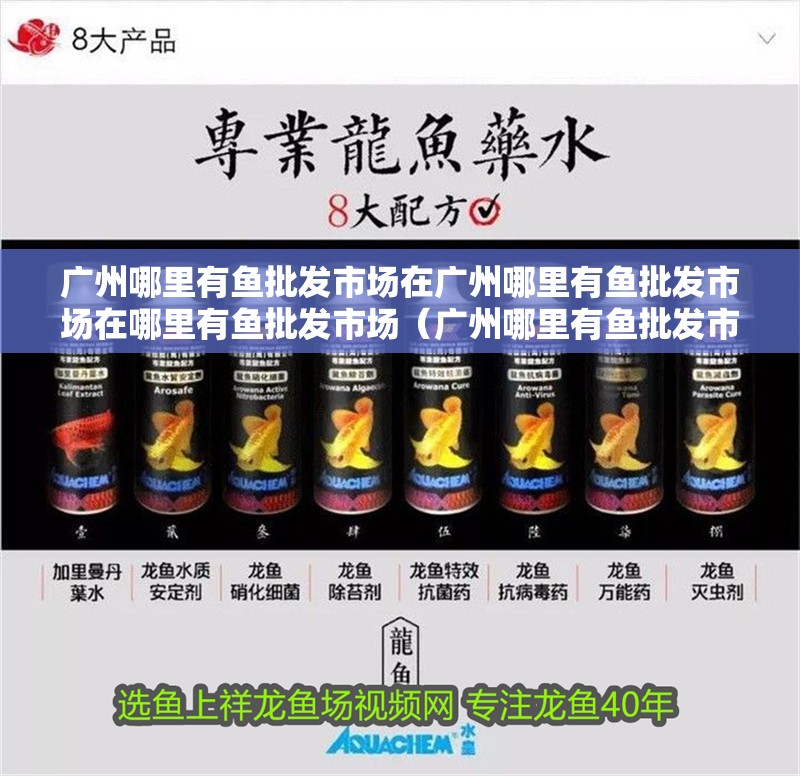 廣州哪里有魚批發市場在廣州哪里有魚批發市場在哪里有魚批發市場（廣州哪里有魚批發市場）