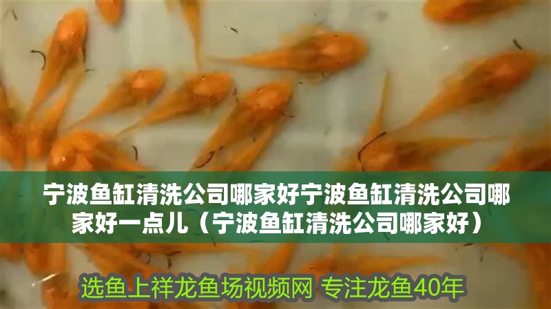 寧波魚缸清洗公司哪家好寧波魚缸清洗公司哪家好一點兒（寧波魚缸清洗公司哪家好）