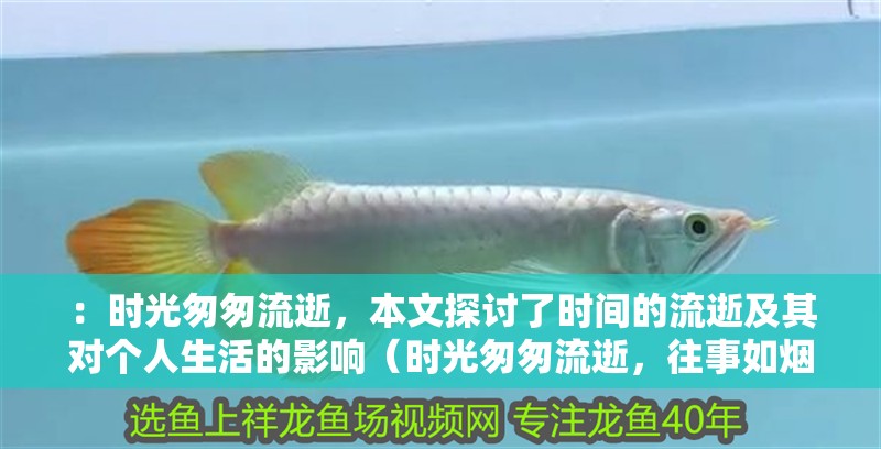 ：時光匆匆流逝，本文探討了時間的流逝及其對個人生活的影響（時光匆匆流逝，往事如煙）