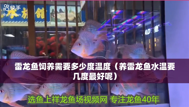 雷龍魚飼養(yǎng)需要多少度溫度（養(yǎng)雷龍魚水溫要幾度最好呢）