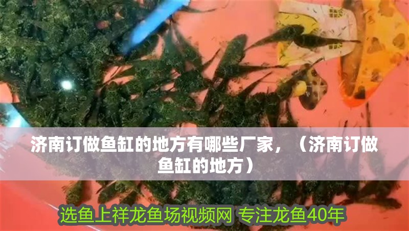 濟(jì)南訂做魚缸的地方有哪些廠家，（濟(jì)南訂做魚缸的地方）