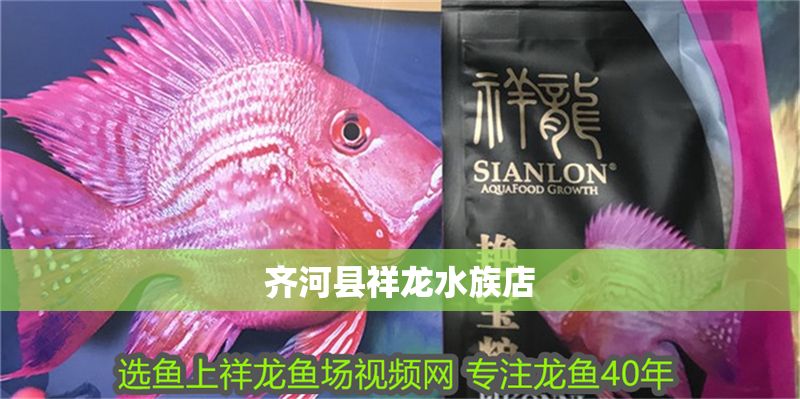 齊河縣祥龍水族店 全國水族館企業名錄 第1張 齊河縣祥龍水族店 齊河縣祥龍水族店 全國水族館企業名錄 第1張