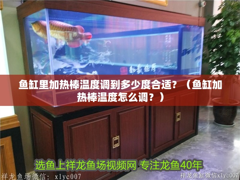 魚缸里加熱棒溫度調到多少度合適？（魚缸加熱棒溫度怎么調？）