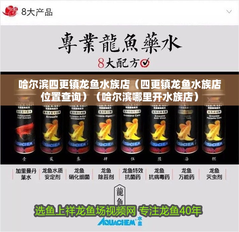 哈爾濱四更鎮(zhèn)龍魚水族店（四更鎮(zhèn)龍魚水族店位置查詢）（哈爾濱哪里開水族店）