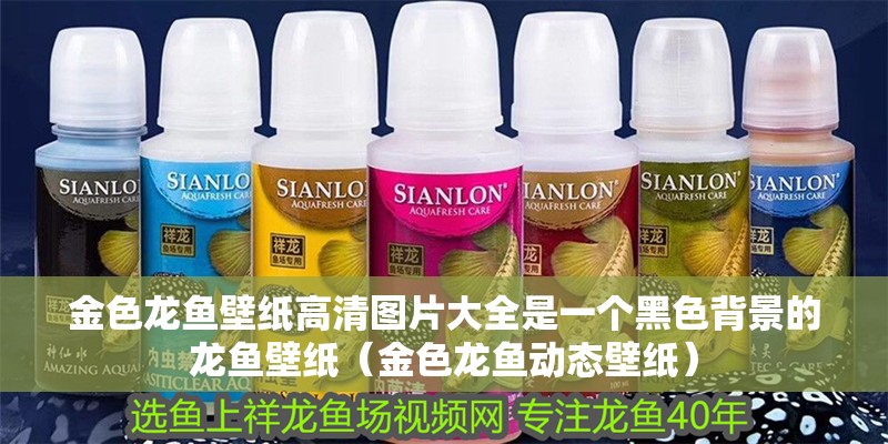 金色龍魚壁紙高清圖片大全是一個(gè)黑色背景的龍魚壁紙（金色龍魚動(dòng)態(tài)壁紙）