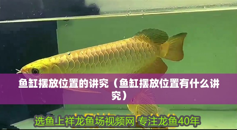 魚缸擺放位置的講究（魚缸擺放位置有什么講究）