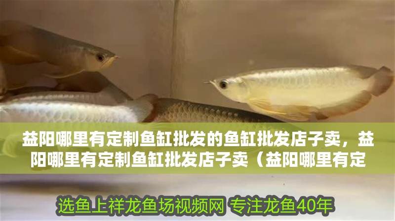 益陽哪里有定制魚缸批發的魚缸批發店子賣，益陽哪里有定制魚缸批發店子賣（益陽哪里有定制魚缸批發店）