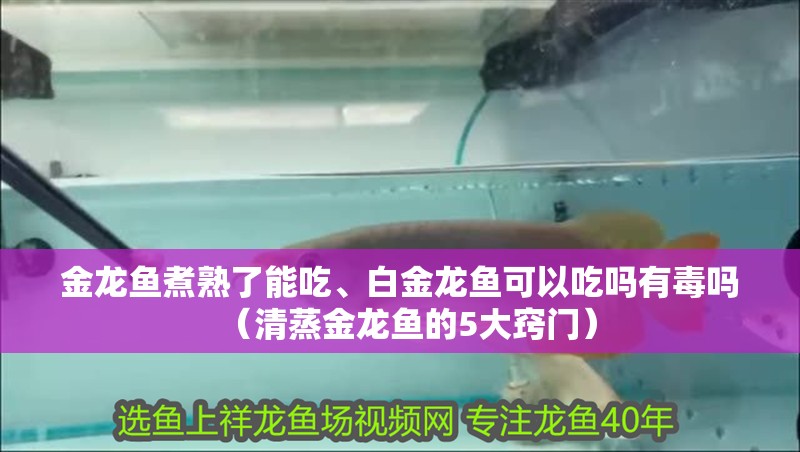 魚缸過濾器選購指南:自制魚缸過濾器魚缸上置過濾器對于養魚愛好者的必備知識 金龍魚煮熟了能吃、白金龍魚可以吃嗎有毒嗎(清蒸金龍魚的5大竅門) 觀賞魚百科 金龍魚煮熟了能吃、白金龍魚可以吃嗎有毒嗎(清蒸金龍魚的5大竅門) 金龍魚煮熟了能吃、白金龍魚可以吃嗎有毒嗎(清蒸金龍魚的5大竅門) 觀賞魚百科