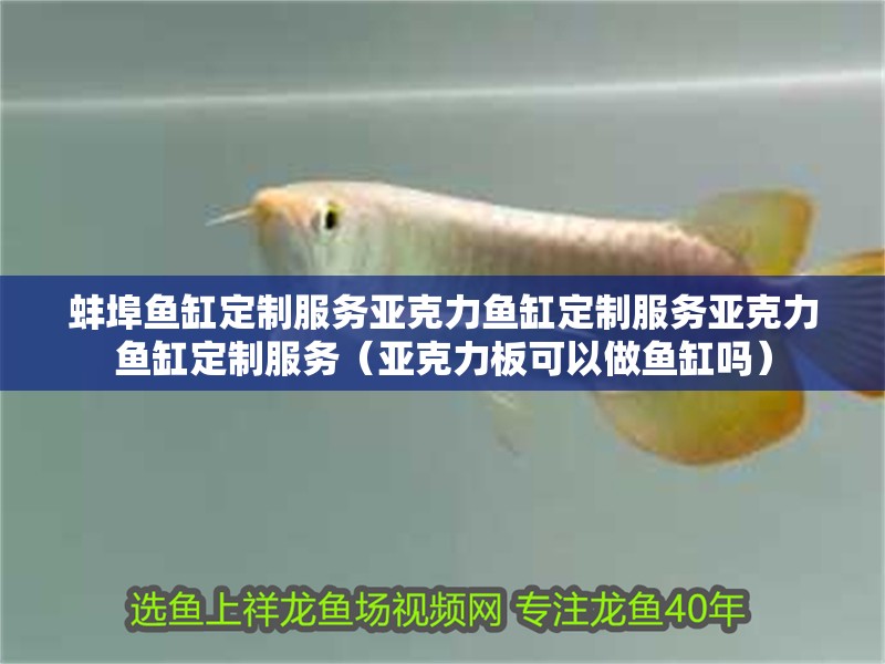 <strong><mark>蚌埠</mark></strong>魚缸定制服務(wù)亞克力魚缸定制服務(wù)亞克力魚缸定制服務(wù)（亞克力板可以做魚缸嗎）