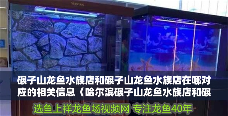 <strong><mark>碾子山</mark></strong>龍魚水族店和<strong><mark>碾子山</mark></strong>龍魚水族店在哪對應的相關信息（哈爾濱<strong><mark>碾子山</mark></strong>龍魚水族店和<strong><mark>碾子山</mark></strong>龍魚水族店在哪對應的信息）