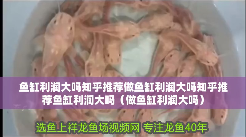 魚缸利潤大嗎知乎推薦做魚缸利潤大嗎知乎推薦魚缸利潤大嗎（做魚缸利潤大嗎） 魚缸利潤大嗎知乎推薦做魚缸利潤大嗎知乎推薦魚缸利潤大嗎（做魚缸利潤大嗎） 觀賞魚百科