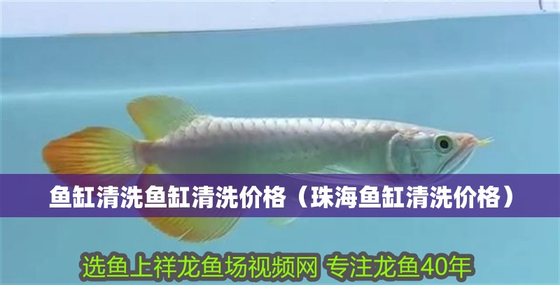 魚缸清洗魚缸清洗價格（<strong><mark>珠海</mark></strong>魚缸清洗價格）