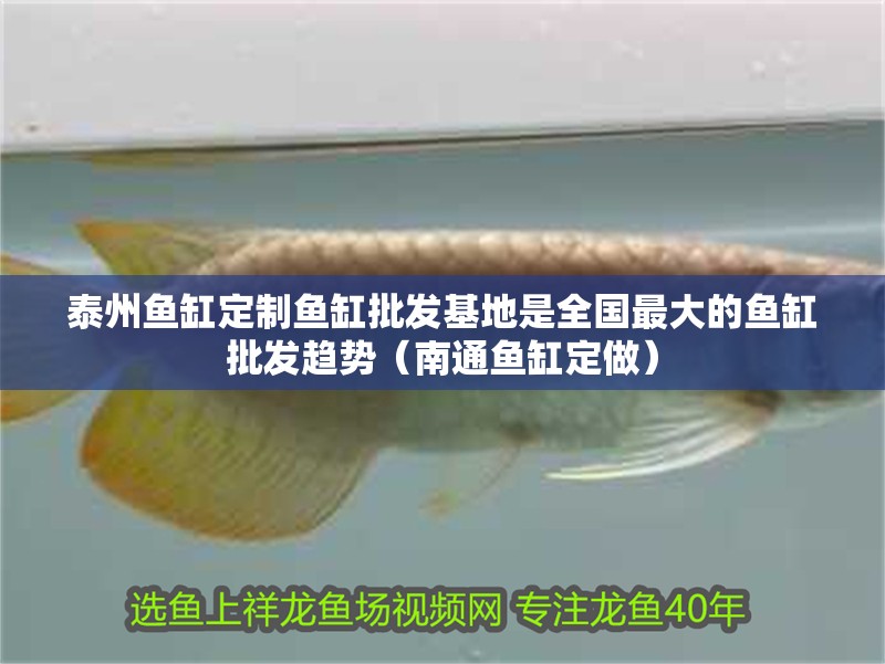 泰州魚缸定制魚缸批發基地是全國最大的魚缸批發趨勢（南通魚缸定做）