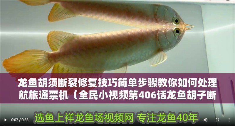 龍魚胡須斷裂修復技巧簡單步驟教你如何處理航旅通票機（全民小視頻第406話龍魚胡子斷了怎么辦） 龍魚胡須斷裂修復技巧簡單步驟教你如何處理航旅通票機（全民小視頻第406話龍魚胡子斷了怎么辦） 觀賞魚百科 第4張