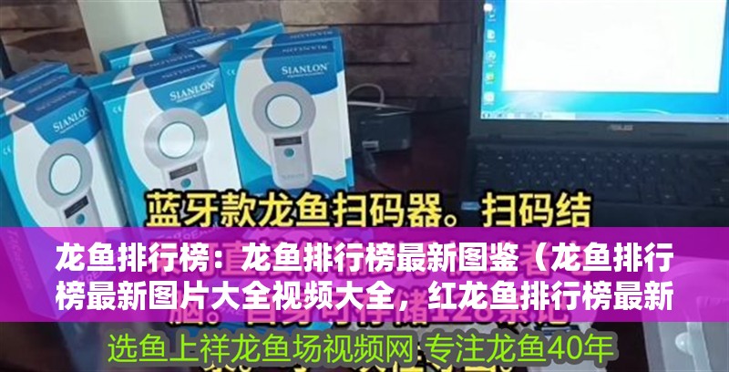 龍魚排行榜：龍魚排行榜最新圖鑒（龍魚排行榜最新圖片大全視頻大全，紅龍魚排行榜最新圖片大全）