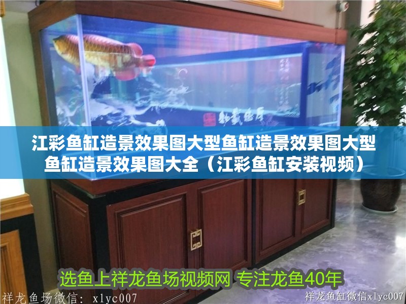 江彩魚缸造景效果圖大型魚缸造景效果圖大型魚缸造景效果圖大全（江彩魚缸安裝視頻）