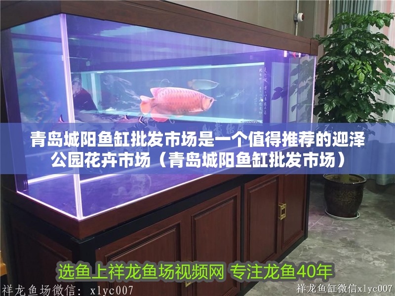 青島城陽(yáng)魚缸批發(fā)市場(chǎng)是一個(gè)值得推薦的迎澤公園花卉市場(chǎng)（青島城陽(yáng)魚缸批發(fā)市場(chǎng)）