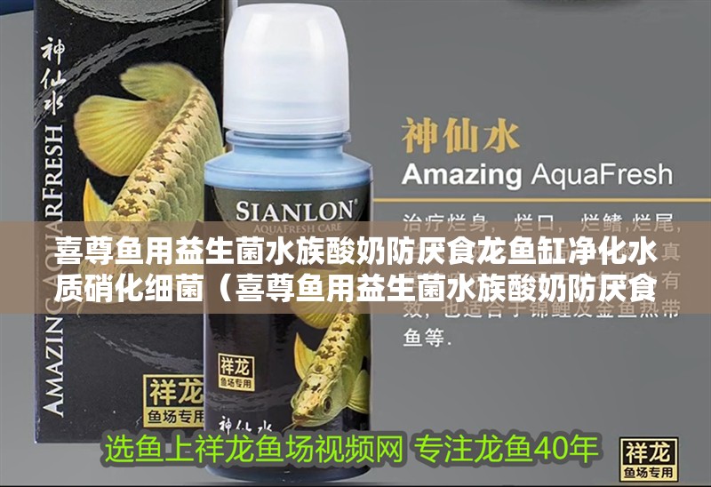 喜尊魚用益生菌水族酸奶防厭食龍魚缸凈化水質硝化細菌（喜尊魚用益生菌水族酸奶防厭食龍魚病腸炎藥）