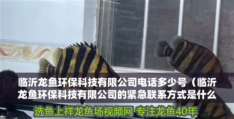 臨沂龍魚環?？萍加邢薰倦娫挾嗌偬枺ㄅR沂龍魚環?？萍加邢薰镜木o急聯系方式是什么）
