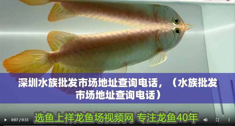 深圳水族批發(fā)市場地址查詢電話，（水族批發(fā)市場地址查詢電話）