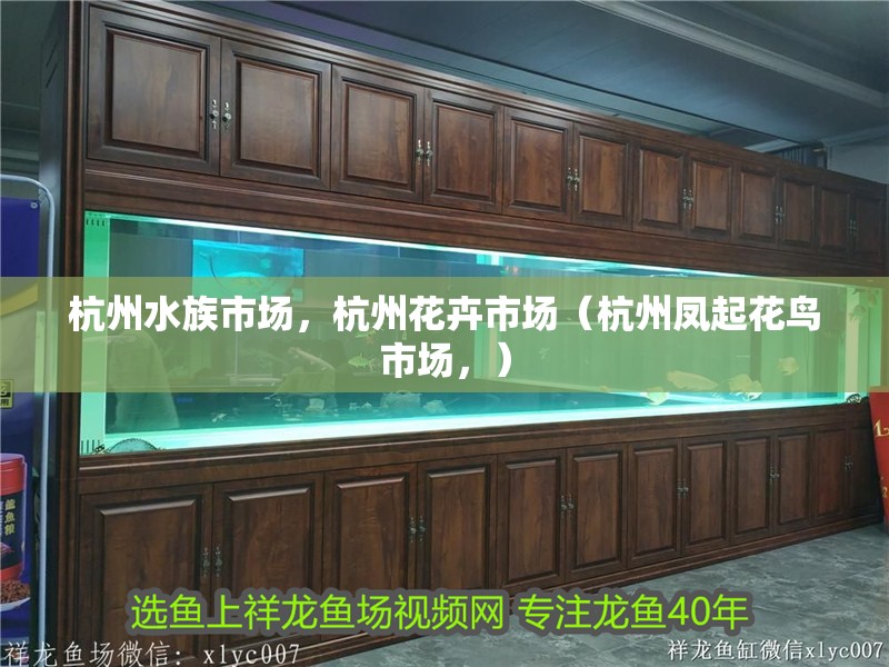 <strong><mark>杭州</mark></strong>水族市場，<strong><mark>杭州</mark></strong>花卉市場（<strong><mark>杭州</mark></strong>鳳起花鳥市場，）