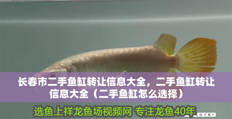 長春市二手魚缸轉讓信息大全，二手魚缸轉讓信息大全（二手魚缸怎么選擇）