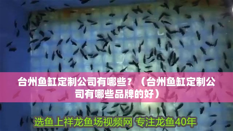 臺(tái)州魚缸定制公司有哪些？（臺(tái)州魚缸定制公司有哪些品牌的好）