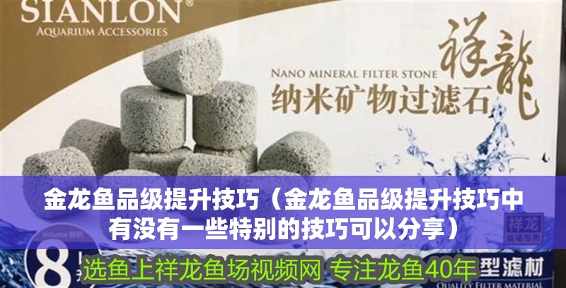 金龍魚品級提升技巧（金龍魚品級提升技巧中有沒有一些特別的技巧可以分享）