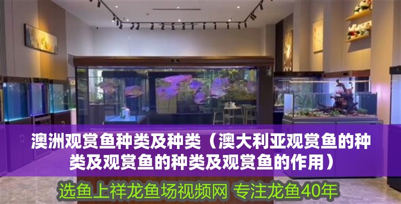澳洲觀賞魚種類及種類（澳大利亞觀賞魚的種類及觀賞魚的種類及觀賞魚的作用）