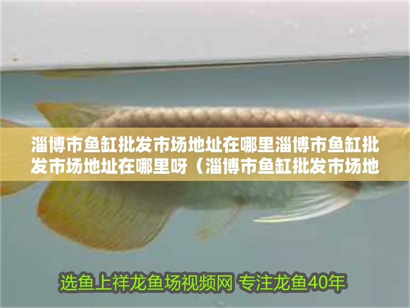 <strong><mark>淄博</mark></strong>市魚缸批發市場地址在哪里<strong><mark>淄博</mark></strong>市魚缸批發市場地址在哪里呀（<strong><mark>淄博</mark></strong>市魚缸批發市場地址在哪里呀）
