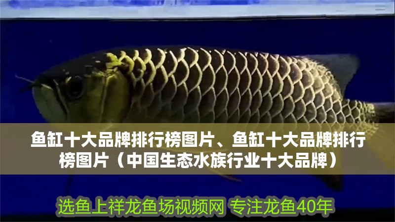 魚缸十大品牌排行榜圖片、魚缸十大品牌排行榜圖片（中國生態水族行業十大品牌）