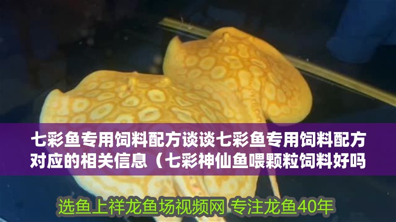 七彩魚專用飼料配方談談七彩魚專用飼料配方對應的相關信息（七彩神仙魚喂顆粒飼料好嗎）
