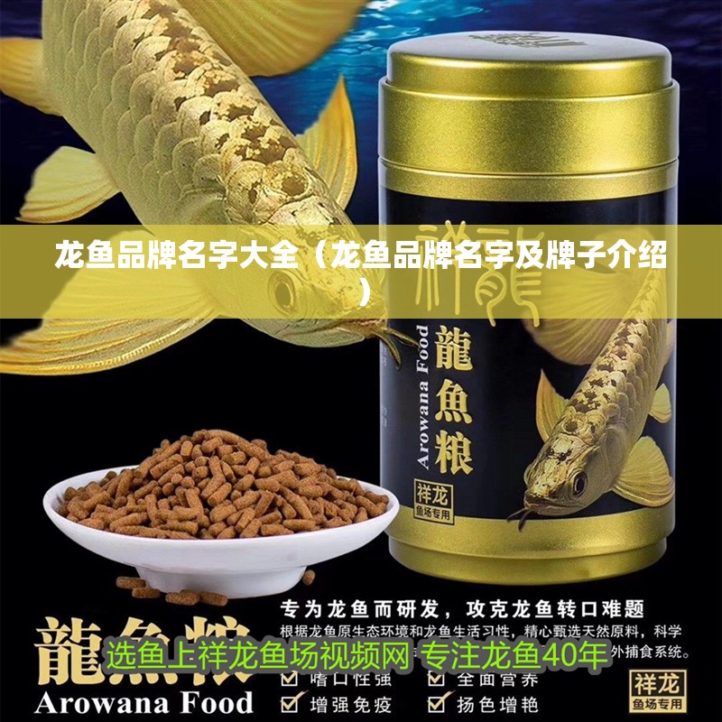 龍魚品牌名字大全（龍魚品牌名字及牌子介紹）
