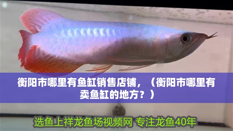 衡陽市哪里有魚缸銷售店鋪，（衡陽市哪里有賣魚缸的地方？） 衡陽市哪里有魚缸銷售店鋪，（衡陽市哪里有賣魚缸的地方？） 觀賞魚百科