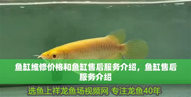 魚缸維修價(jià)格和魚缸售后服務(wù)介紹，魚缸售后服務(wù)介紹