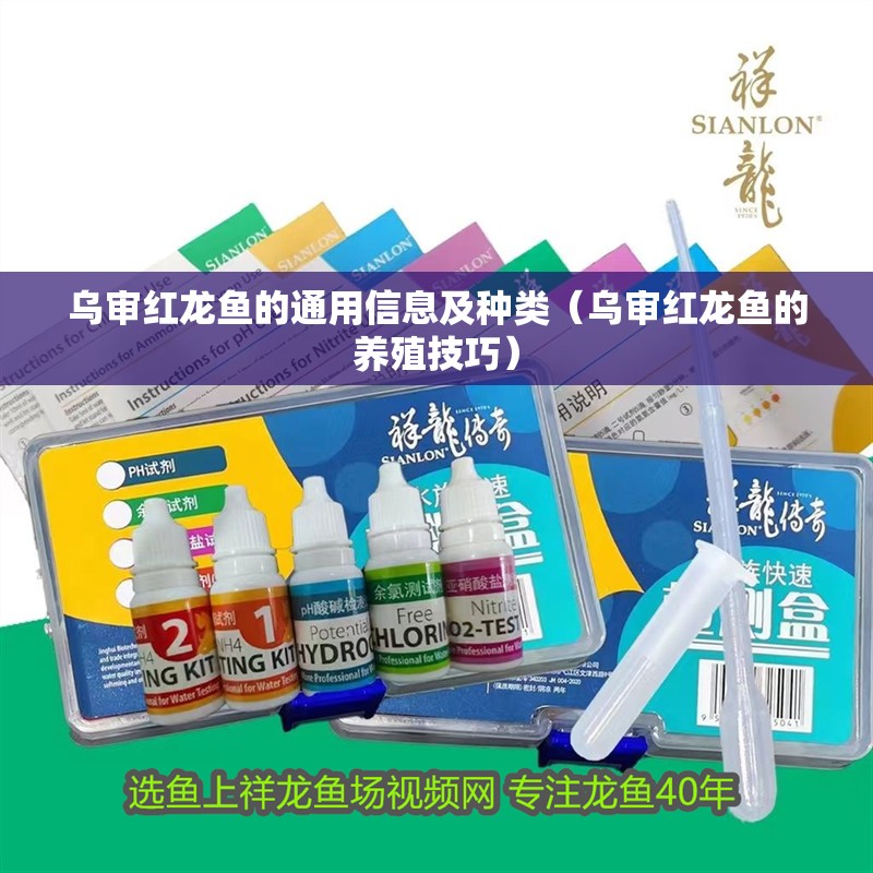烏審紅龍魚的通用信息及種類（烏審紅龍魚的養殖技巧）